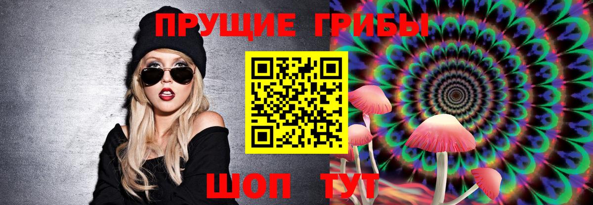 Псилоцибиновые грибы прущие грибы  купить наркоту  Михайловск  Вход с VPN 